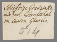 L 01667
<br/>
Label met opschrift
<br/>
<em>Escher von der Linth, Johannes Conrad (1767-1823)</em>